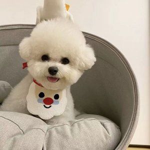 Pet Christmas scarf (rope length 86cm)